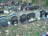 image of grave number 384047